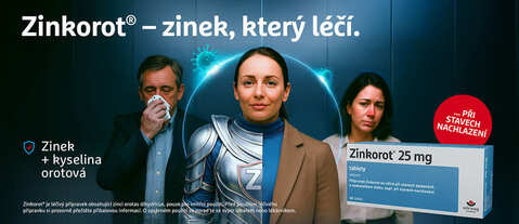 Zinkorot - zinek,který léčí