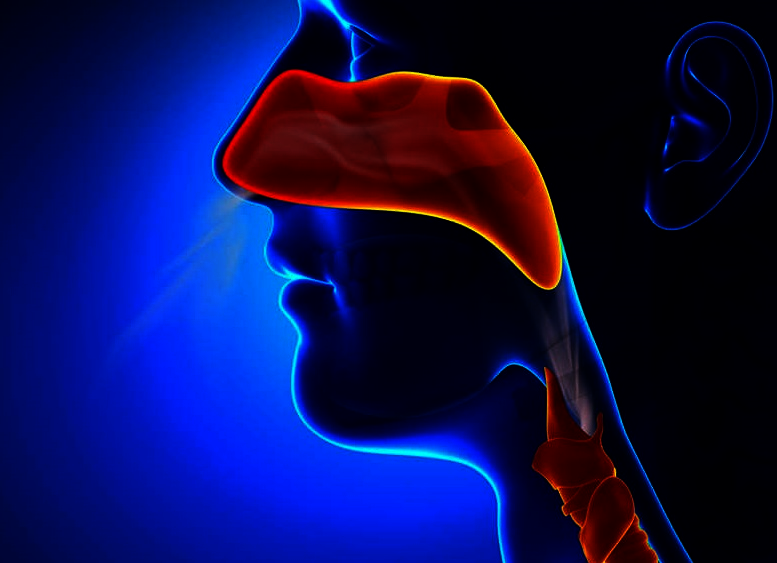 zinek nachlazení, chřipka, imunita, jak léčit nachlazení, účinky na imunitu, bolest v krku